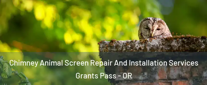  Chimney Animal Screen Repair And Installation Services Grants Pass - OR