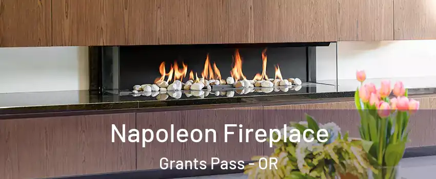  Napoleon Fireplace Grants Pass - OR